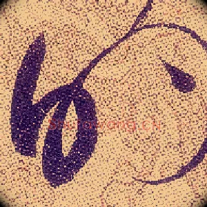 的