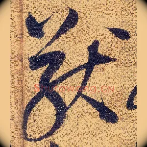 猷