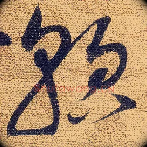 貌