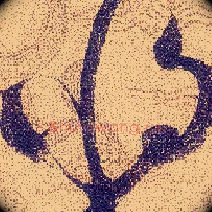 將