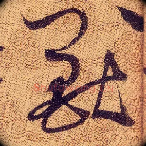 兽