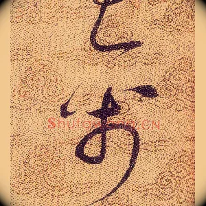 禽