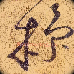 操