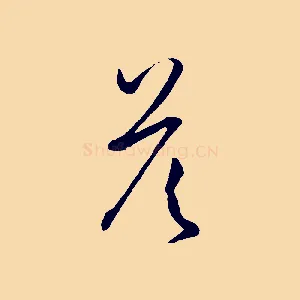 答
