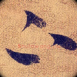 下