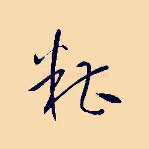 糟