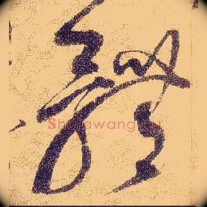 體