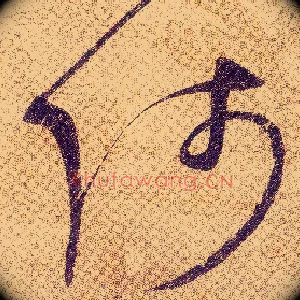 師
