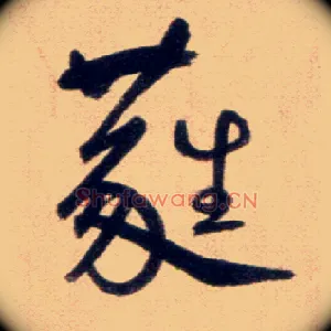 蕤