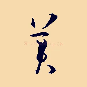 美
