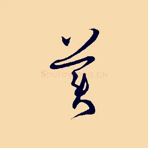美