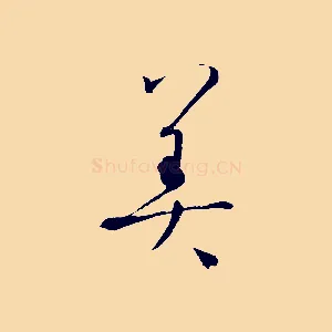 美