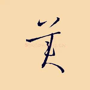 美