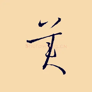美