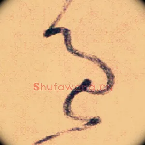 過