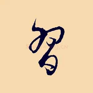 習