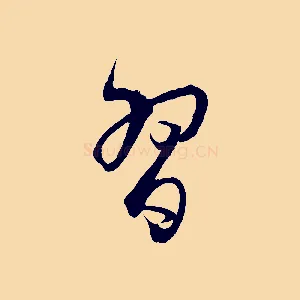習