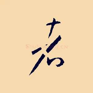 者