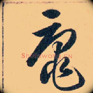 黿