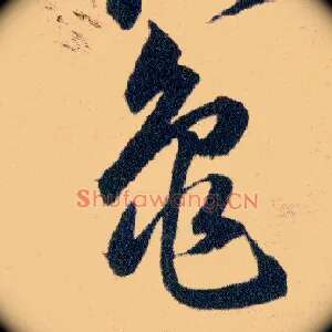 龜