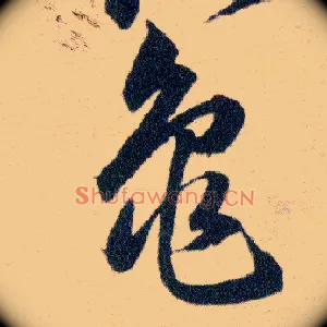 龜