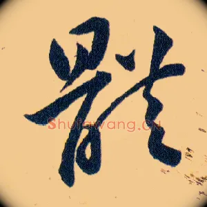 體