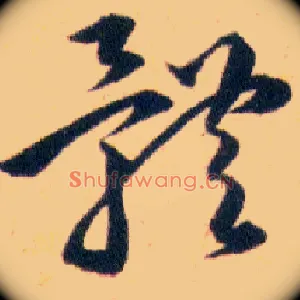 體
