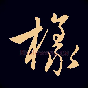 樣
