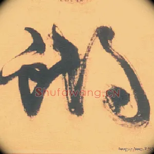蝴