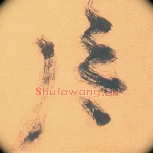 片