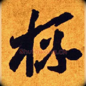 杯