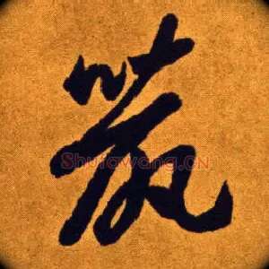鼠