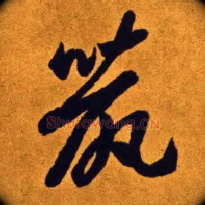 鼠