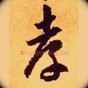 孝