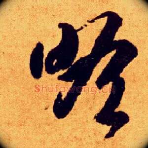 瞻