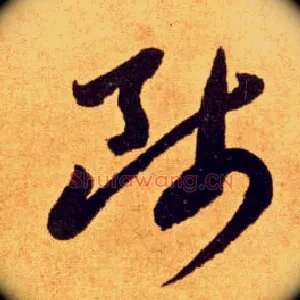 师