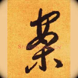 案