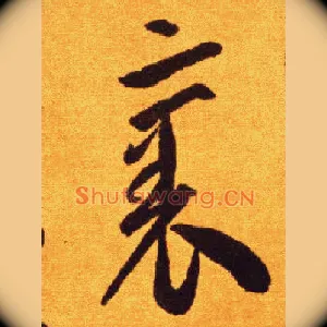 裹
