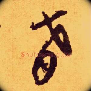 肴