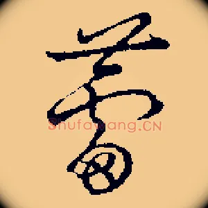 蕾