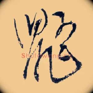 鼯