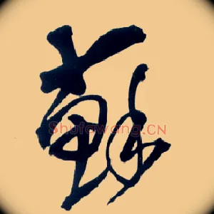 苏