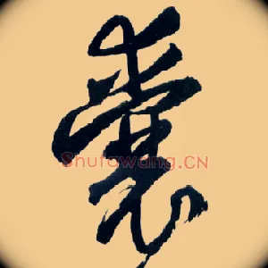 囊