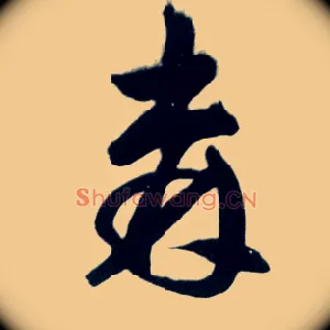 森