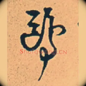 鸥