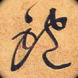 鲍