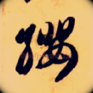 缨
