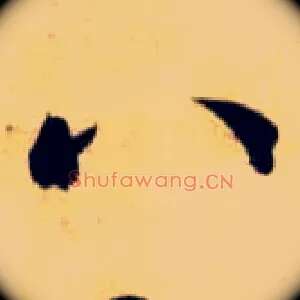 八