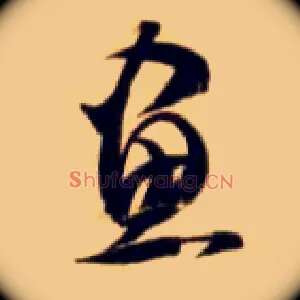 画