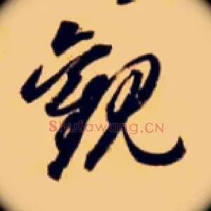 观